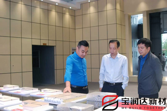 市產業(yè)集聚區(qū)冀偉主任一行來訪寶潤達視察
